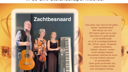 Pareltjes uit de Europese volksmuziek door Zachtbesnaard